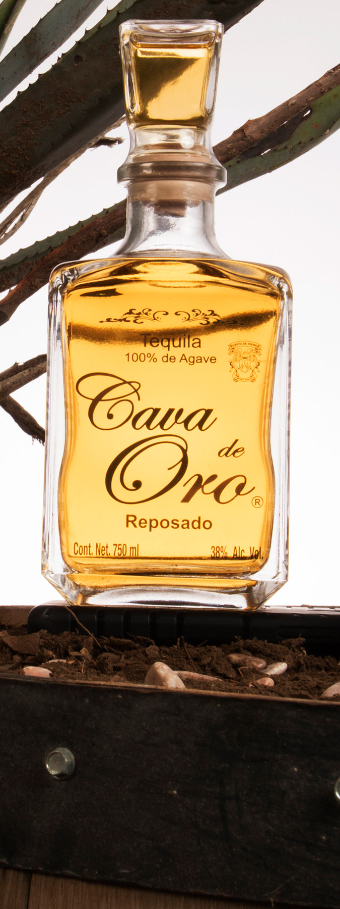 Cava de Oro